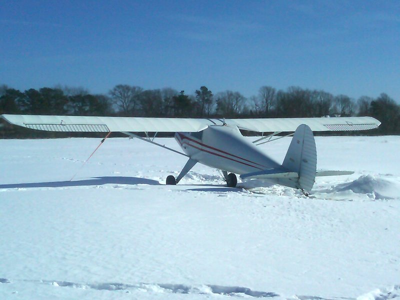 luscombe8a.jpg