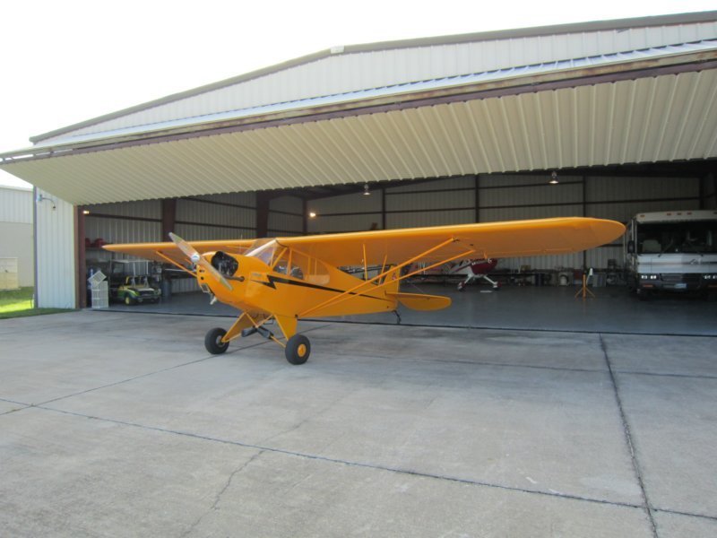pipercub.jpg