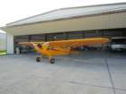 pipercub_small.jpg